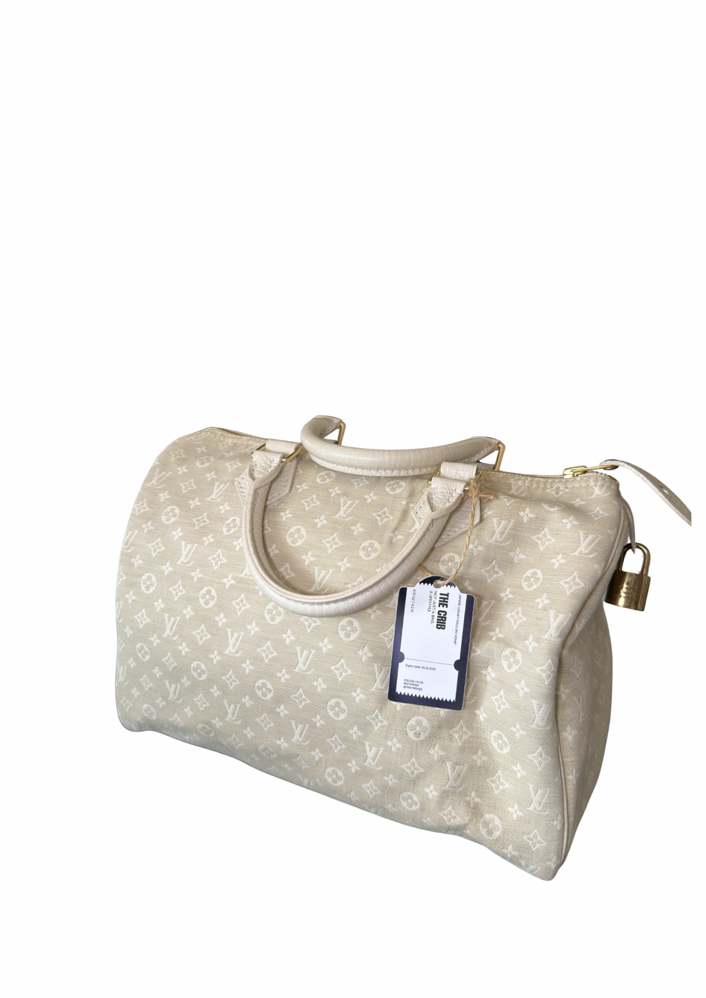 Louis Vuitton Speedy Min Lin 30