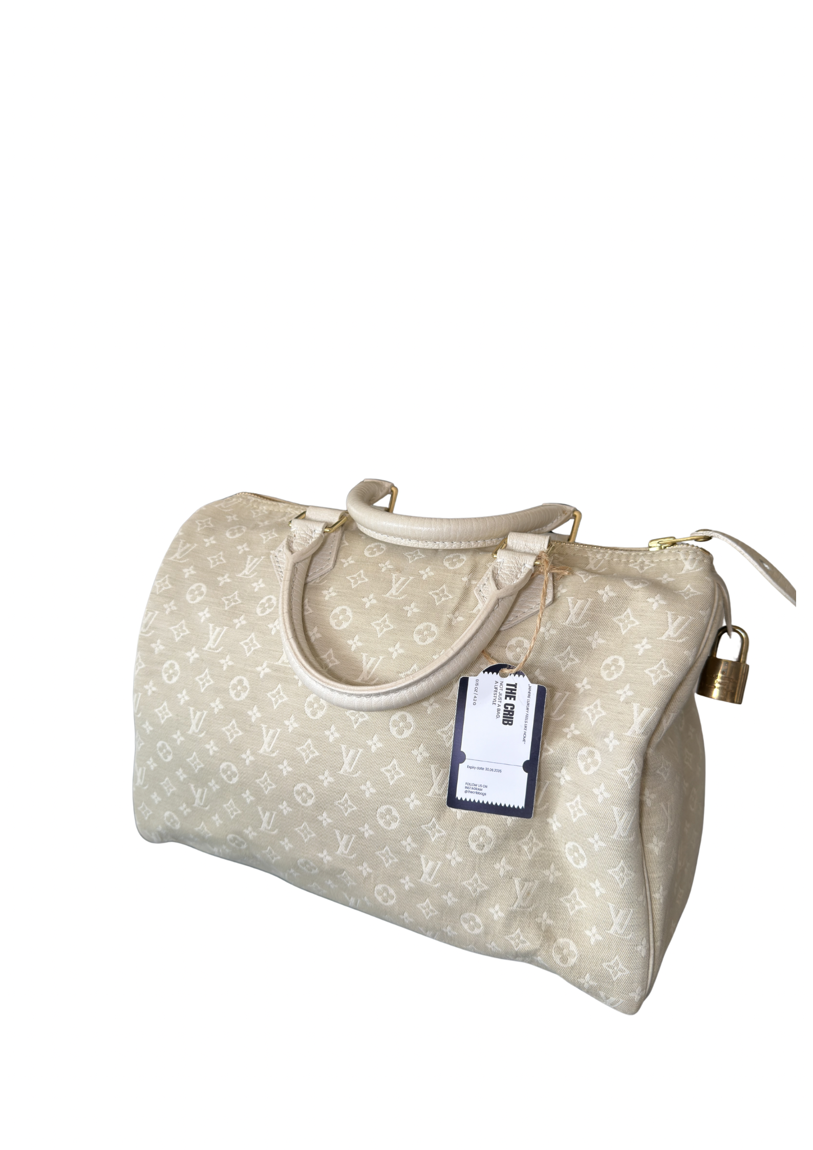 Louis Vuitton Speedy Min Lin 30